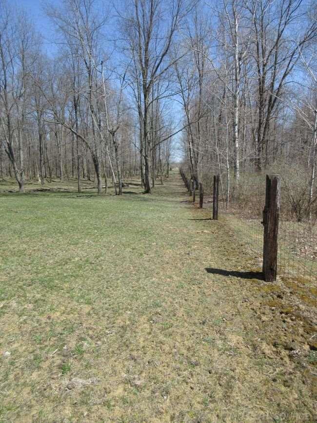 6277 Sheridan Road Vassar, MI 48768 - Photo 69 of 70 Gallery Image 69