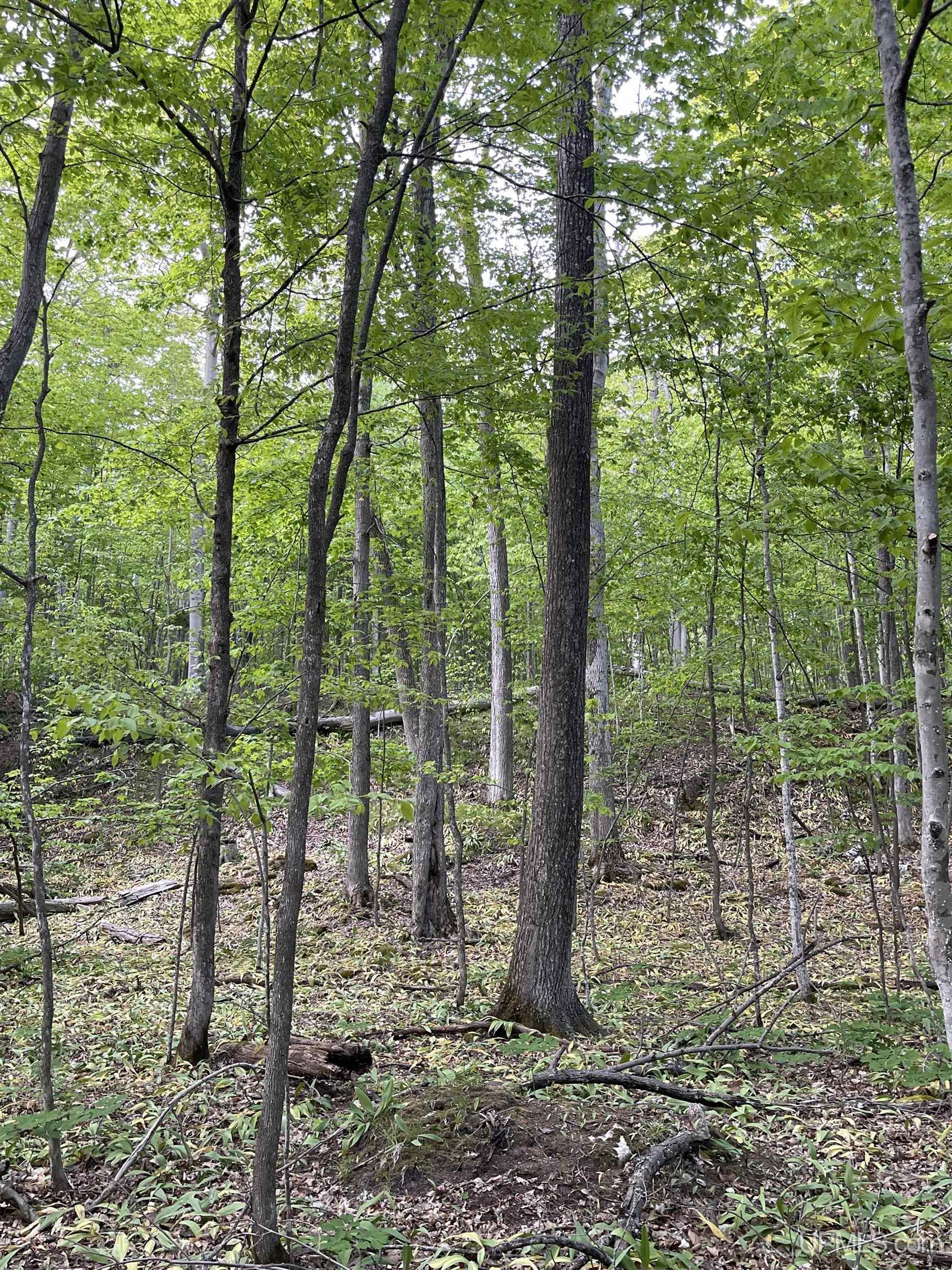 9.5 9.5 Road Gladstone, MI 49837 - Photo 41 of 61