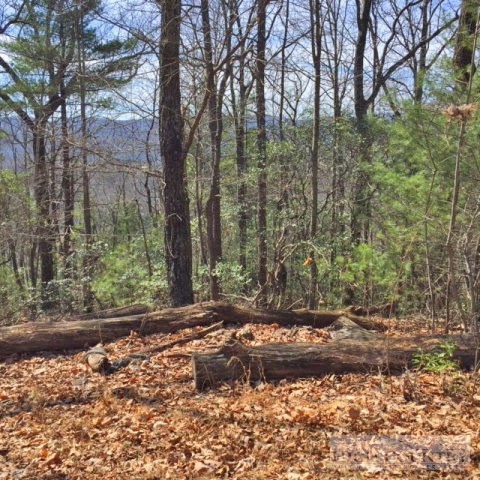 Warren Way Purlear, NC 28665 - Photo 1 of 6