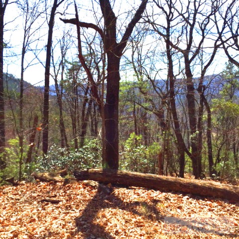 Warren Way Purlear, NC 28665 - Photo 2 of 6
