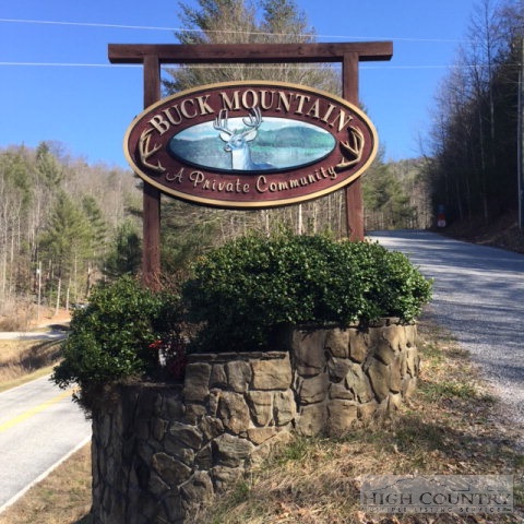 Warren Way Purlear, NC 28665 - Photo 3 of 6