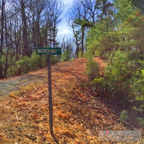 Warren Way Purlear, NC 28665 - Photo 5 of 6