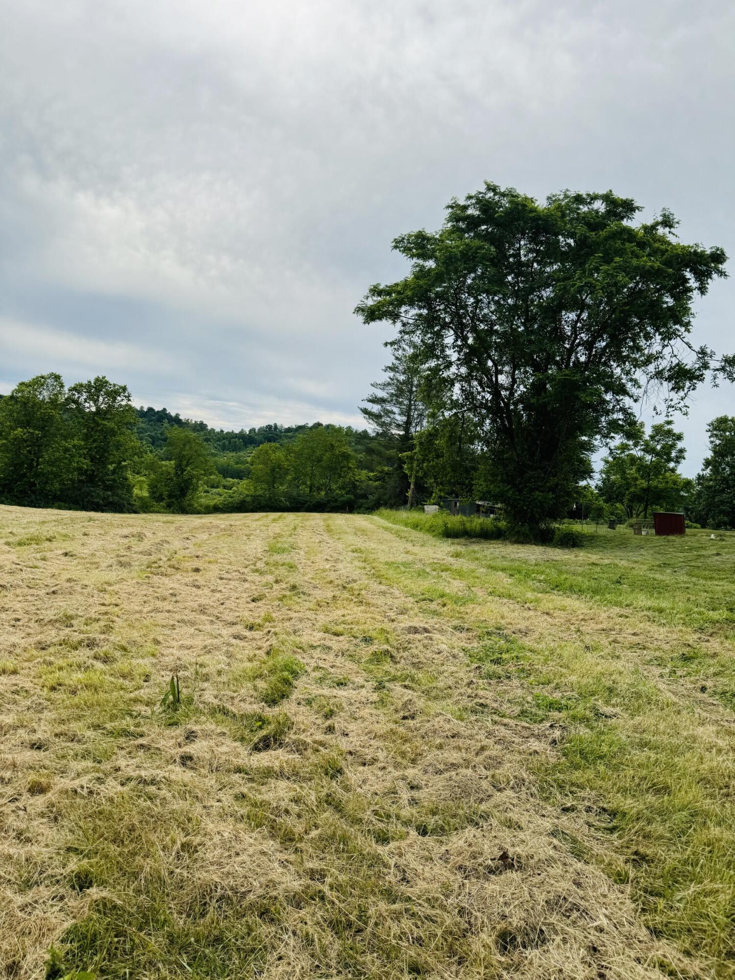 37416 New Lima Road, Unit 2 251 ACRES Rutland, OH 45775 - Photo 9 of 11 Tract 2 facing toward road from back (ma