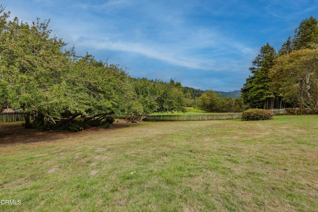 31600 Little Valley Road Fort Bragg, CA 95437 - Photo 41 of 75 BK6A3216 copy