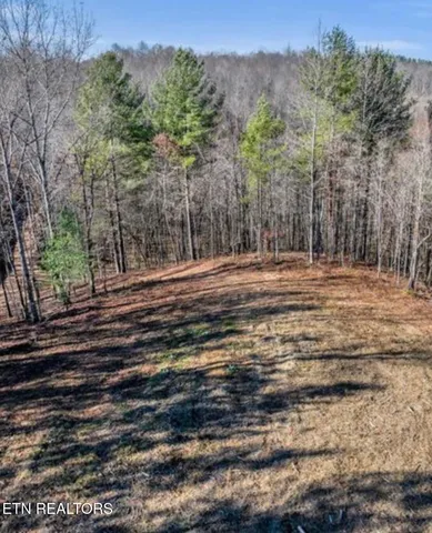 $249,900 | 178 Old Rugby Pike, Robbins, TN 37852