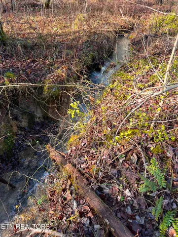 $249,900 | 178 Old Rugby Pike, Robbins, TN 37852