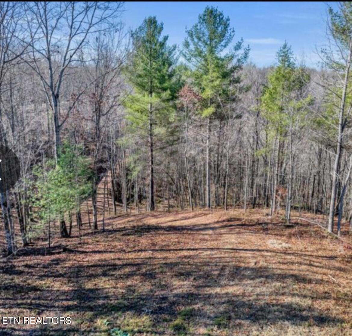 178 Old Rugby Pike Robbins, TN 37852 - Photo 5 of 25 IMG_0680