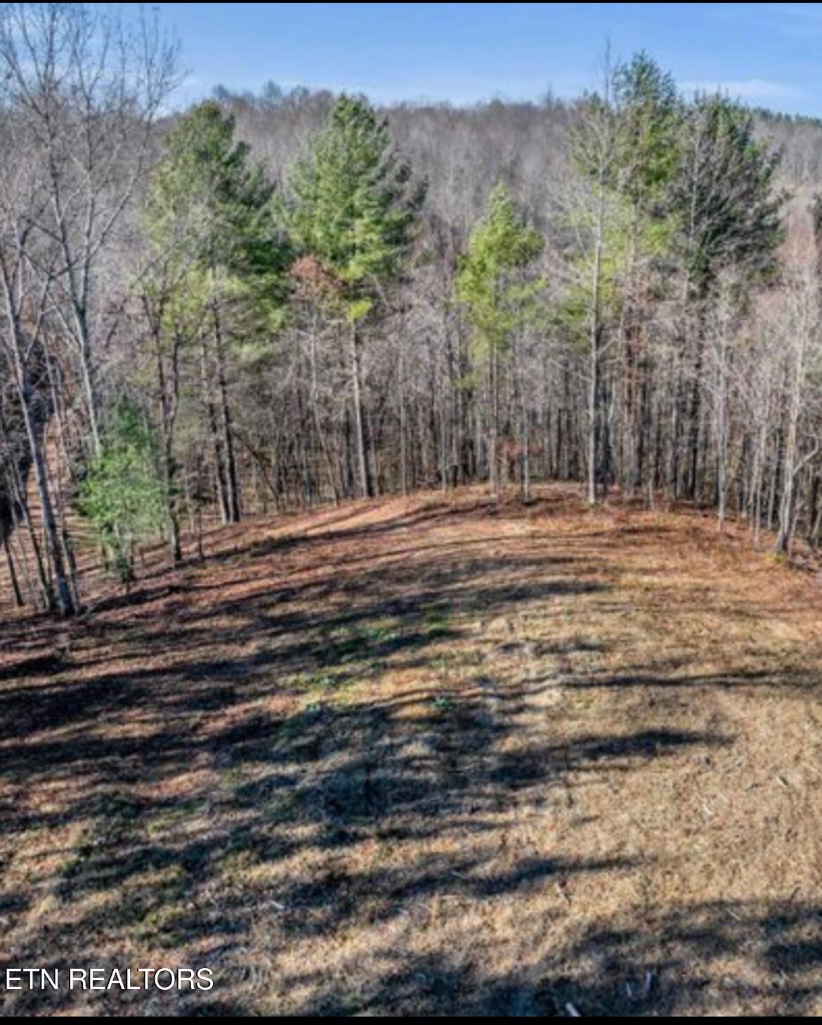 178 Old Rugby Pike Robbins, TN 37852 - Photo 6 of 25 IMG_0679
