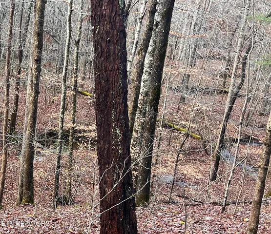 $249,900 | 178 Old Rugby Pike, Robbins, TN 37852