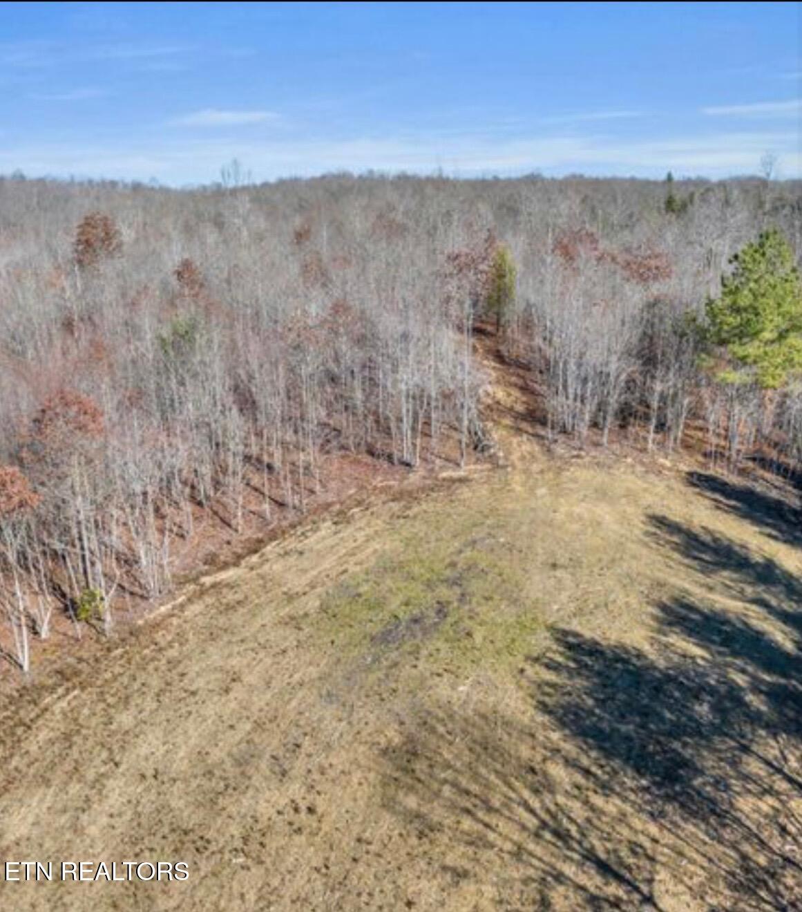 178 Old Rugby Pike Robbins, TN 37852 - Photo 8 of 25 IMG_8912