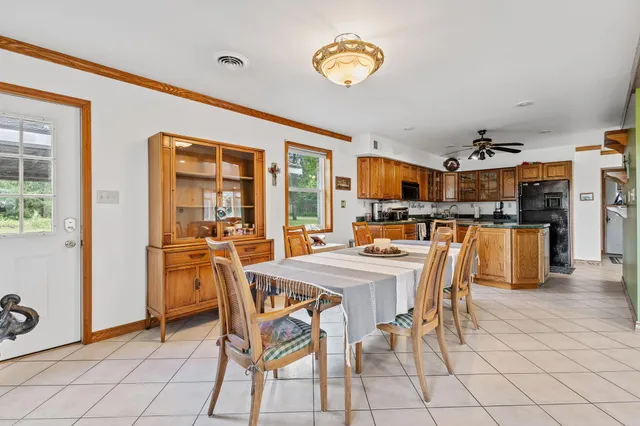 a living room with furniture and potted plant