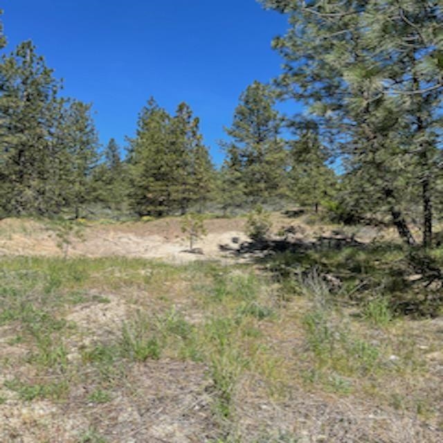 Lot 10 Timberbay Ranches Drive Davenport, WA 99122 - Photo 12 of 29