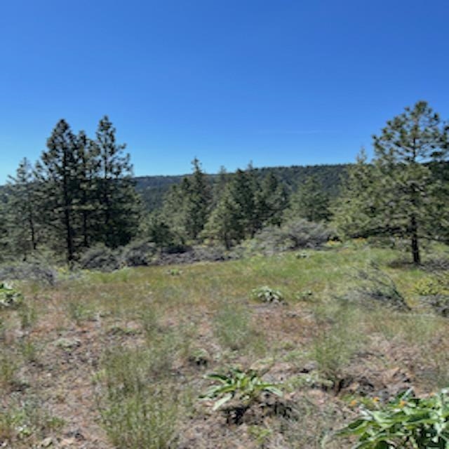 Lot 10 Timberbay Ranches Drive Davenport, WA 99122 - Photo 13 of 29