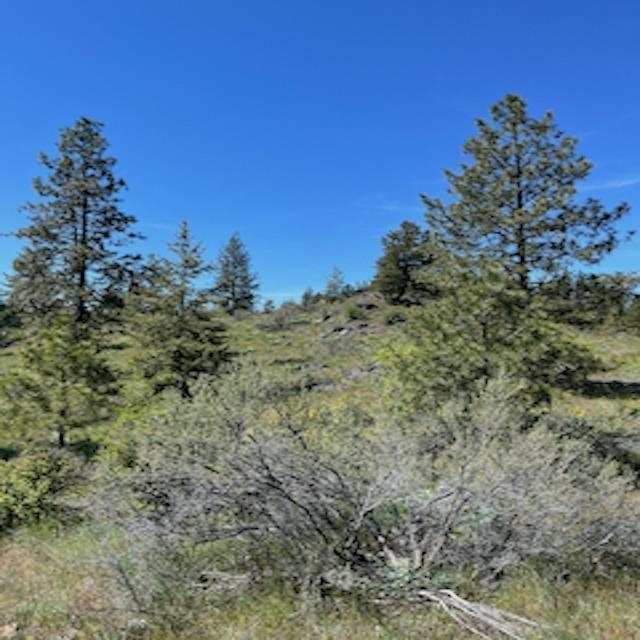 Lot 10 Timberbay Ranches Drive Davenport, WA 99122 - Photo 14 of 29