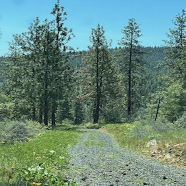 Lot 10 Timberbay Ranches Drive Davenport, WA 99122 - Photo 17 of 29
