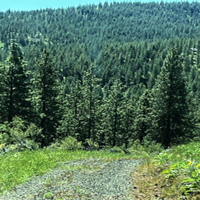 Lot 10 Timberbay Ranches Drive Davenport, WA 99122 - Photo 18 of 29