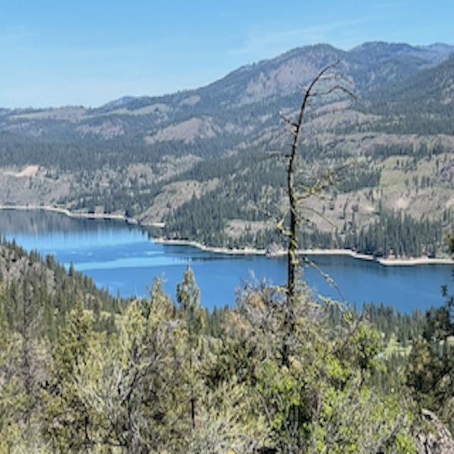 Lot 10 Timberbay Ranches Drive Davenport, WA 99122 - Photo 2 of 29