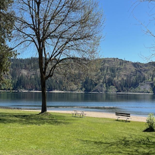Lot 10 Timberbay Ranches Drive Davenport, WA 99122 - Photo 24 of 29