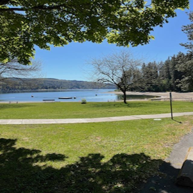 Lot 10 Timberbay Ranches Drive Davenport, WA 99122 - Photo 26 of 29