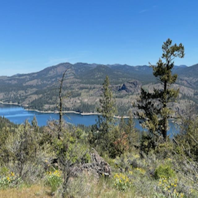 Lot 10 Timberbay Ranches Drive Davenport, WA 99122 - Photo 3 of 29