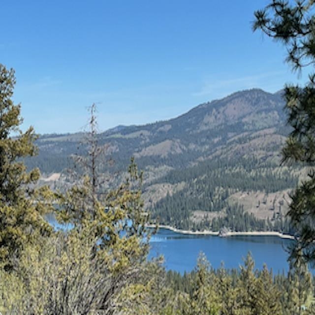 Lot 10 Timberbay Ranches Drive Davenport, WA 99122 - Photo 4 of 29