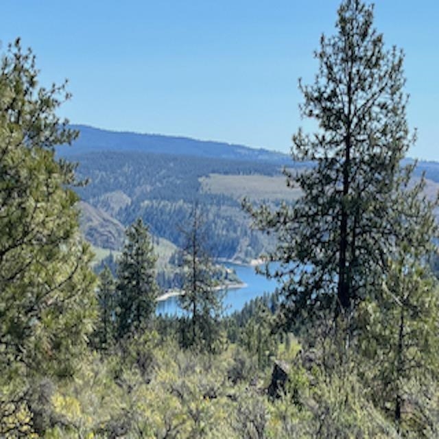 Lot 10 Timberbay Ranches Drive Davenport, WA 99122 - Photo 5 of 29