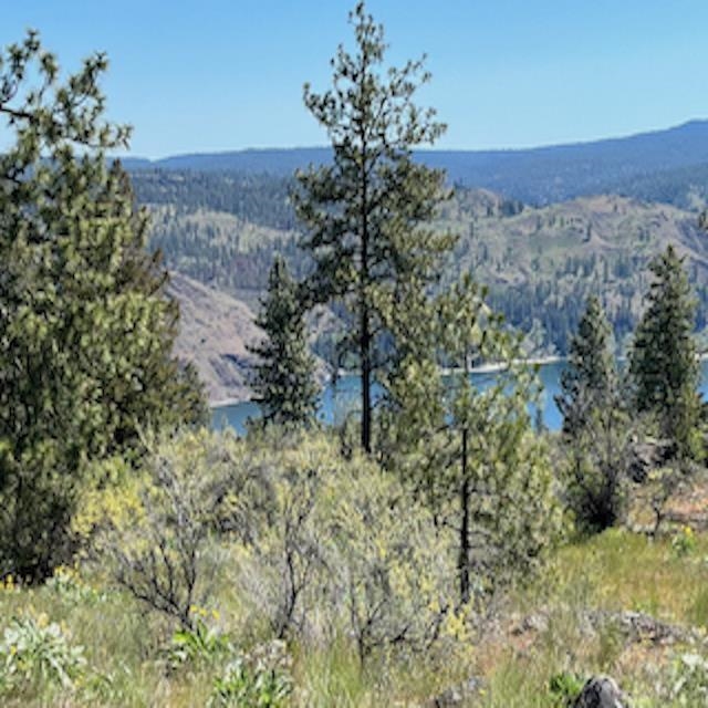 Lot 10 Timberbay Ranches Drive Davenport, WA 99122 - Photo 6 of 29