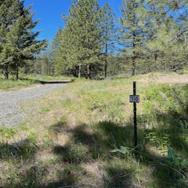 Lot 10 Timberbay Ranches Drive Davenport, WA 99122 - Photo 7 of 29