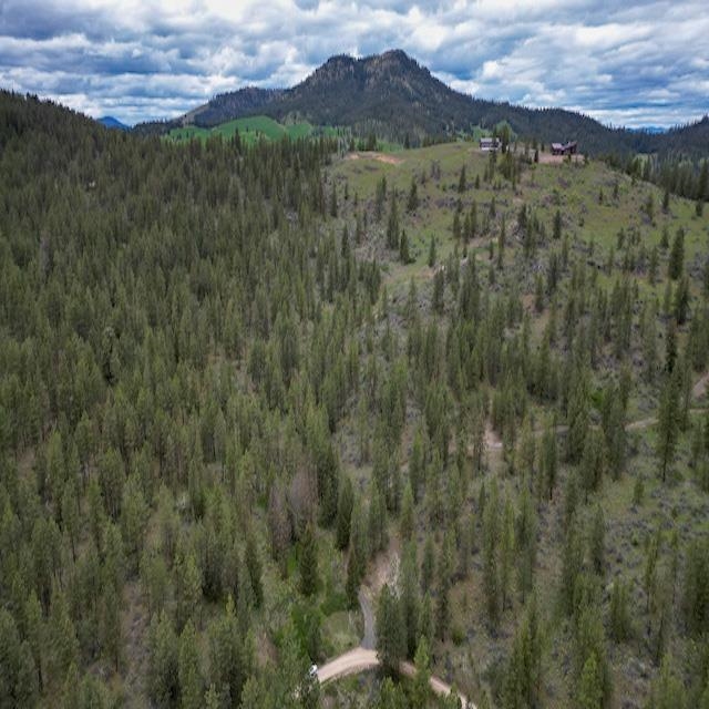 Lot 10 Timberbay Ranches Drive Davenport, WA 99122 - Photo 8 of 29