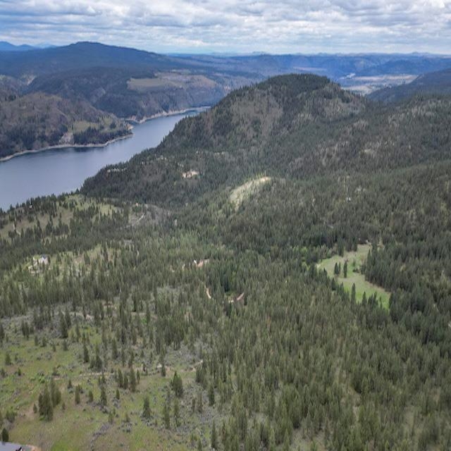 Lot 10 Timberbay Ranches Drive Davenport, WA 99122 - Photo 9 of 29
