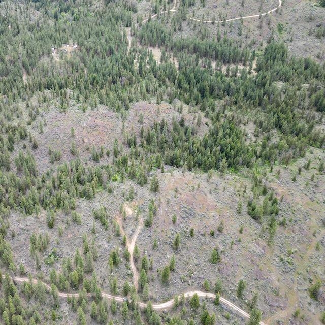 Lot 10 Timberbay Ranches Drive Davenport, WA 99122 - Photo 10 of 29