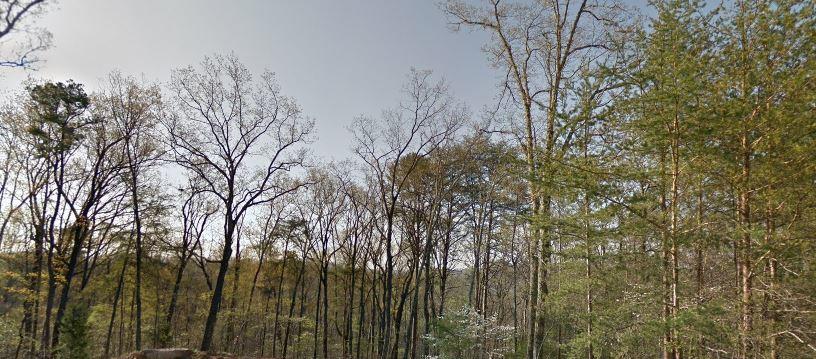 7550 Rocky Ledge Road Hixson, TN 37343 - Photo 4 of 5 7550 Rocky Ledge land