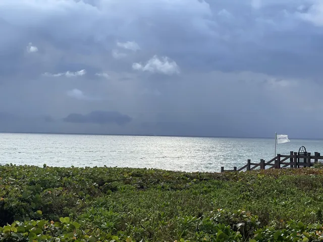a view of an ocean beach
