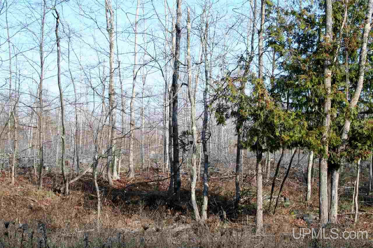 4020 W Letson Road Gulliver, MI 49840 - Photo 10 of 23