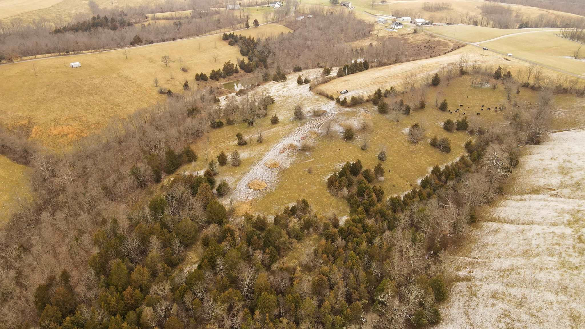 668 Hickory Grove Road Foster, KY 41043 - Photo 4 of 8 Gallery Image 4
