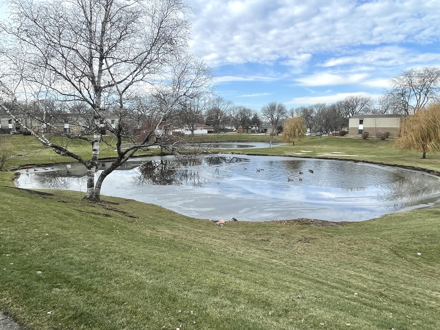 500 74th Street, Unit 102 Downers Grove, IL 60516 - Photo 19 of 21