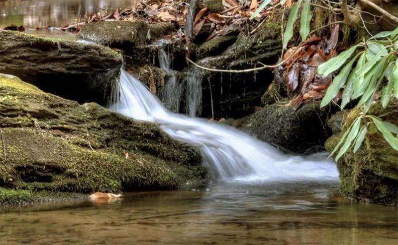 2889 Old Parker Pl Road Ellijay, GA 30536 - Photo 2 of 59