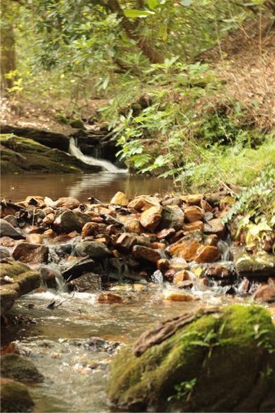 2889 Old Parker Pl Road Ellijay, GA 30536 - Photo 37 of 59