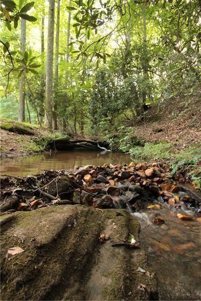 2889 Old Parker Pl Road Ellijay, GA 30536 - Photo 38 of 59 a view of a lake with houses