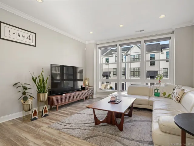 a living room with furniture potted plant and a flat screen tv