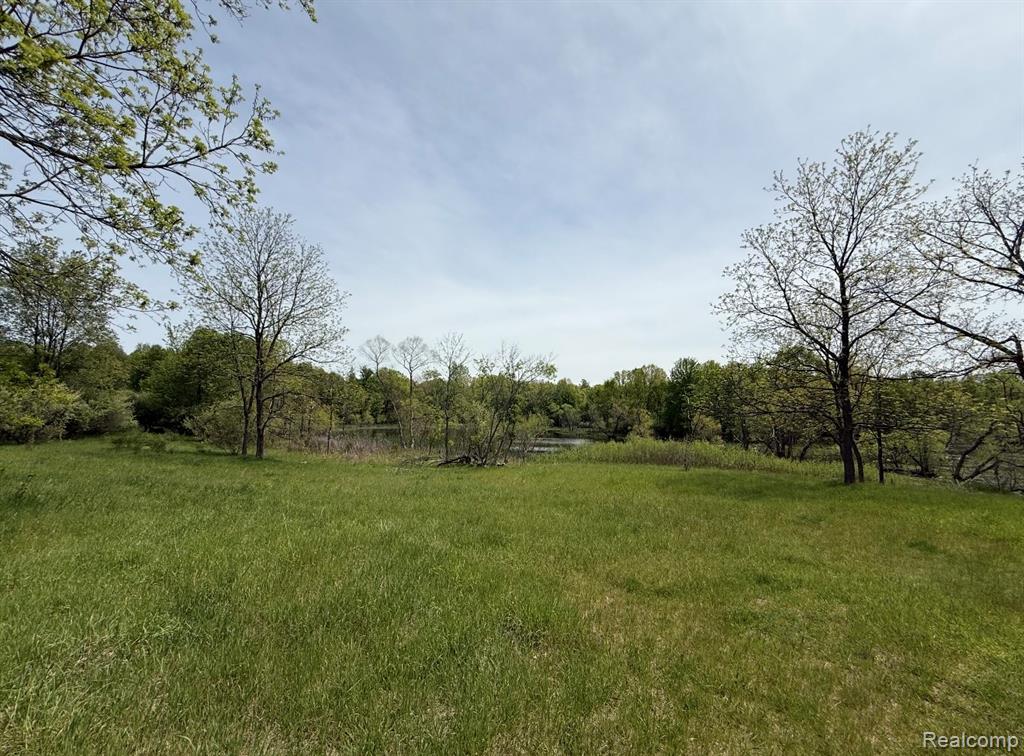 8450 Pepper Road Davisburg, MI 48350 - Photo 3 of 12