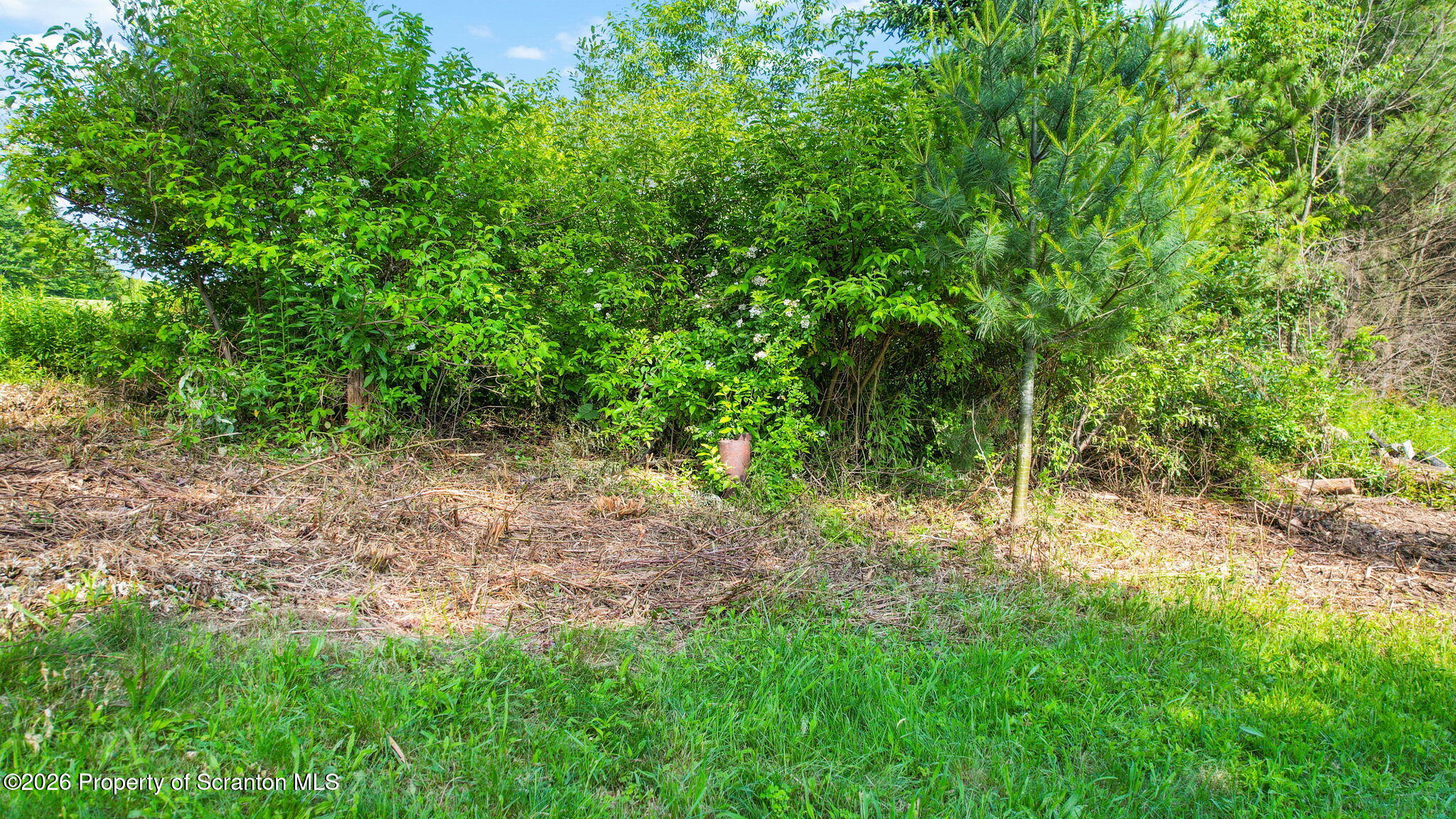 9015 Laurel Lake Road Montrose, PA 18801 - Photo 7 of 25 a view of a yard with a tree
