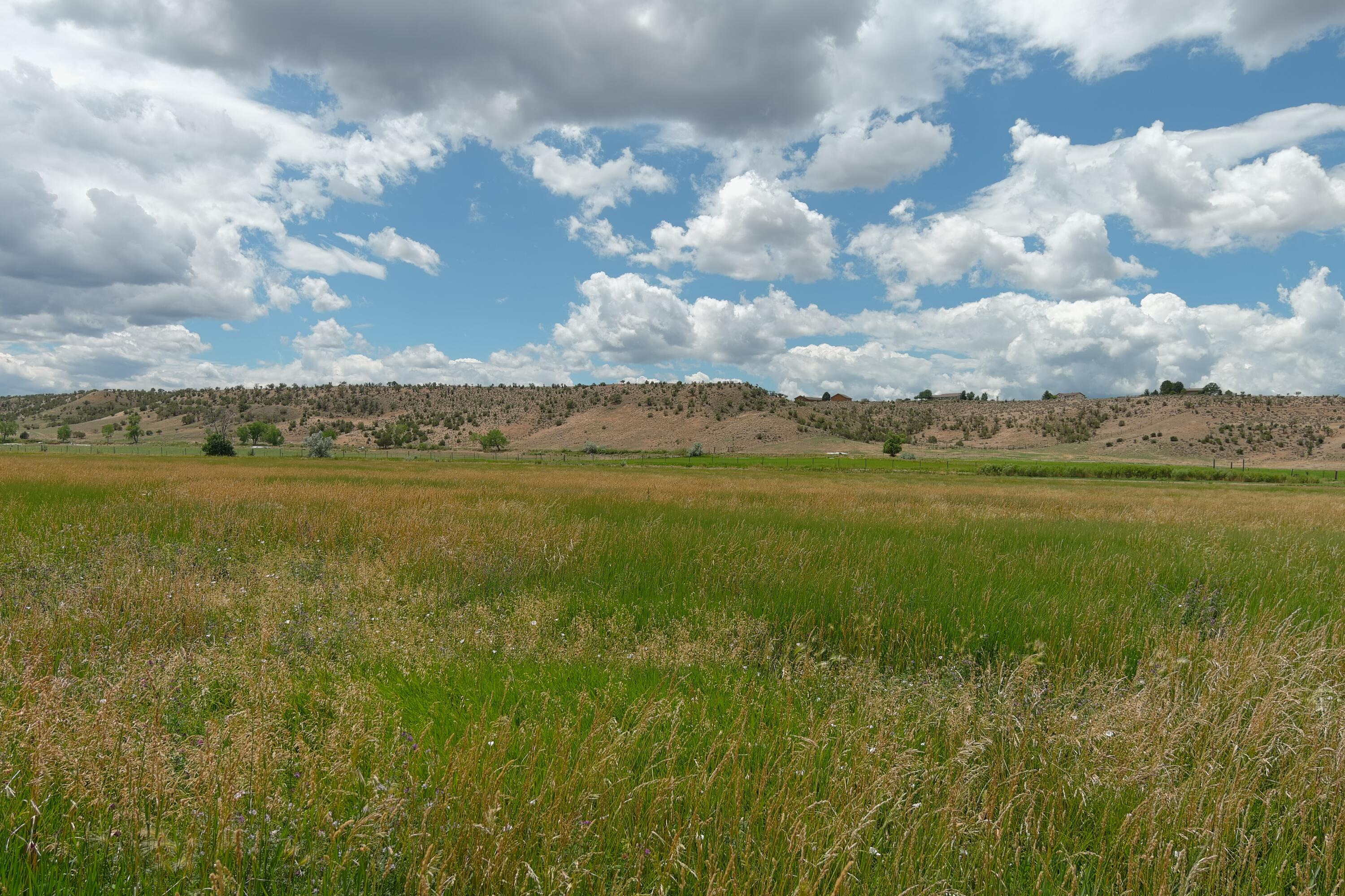 Tbd Solar Road Montrose, CO 81403 - Photo 5 of 9 a view of a city with an ocean