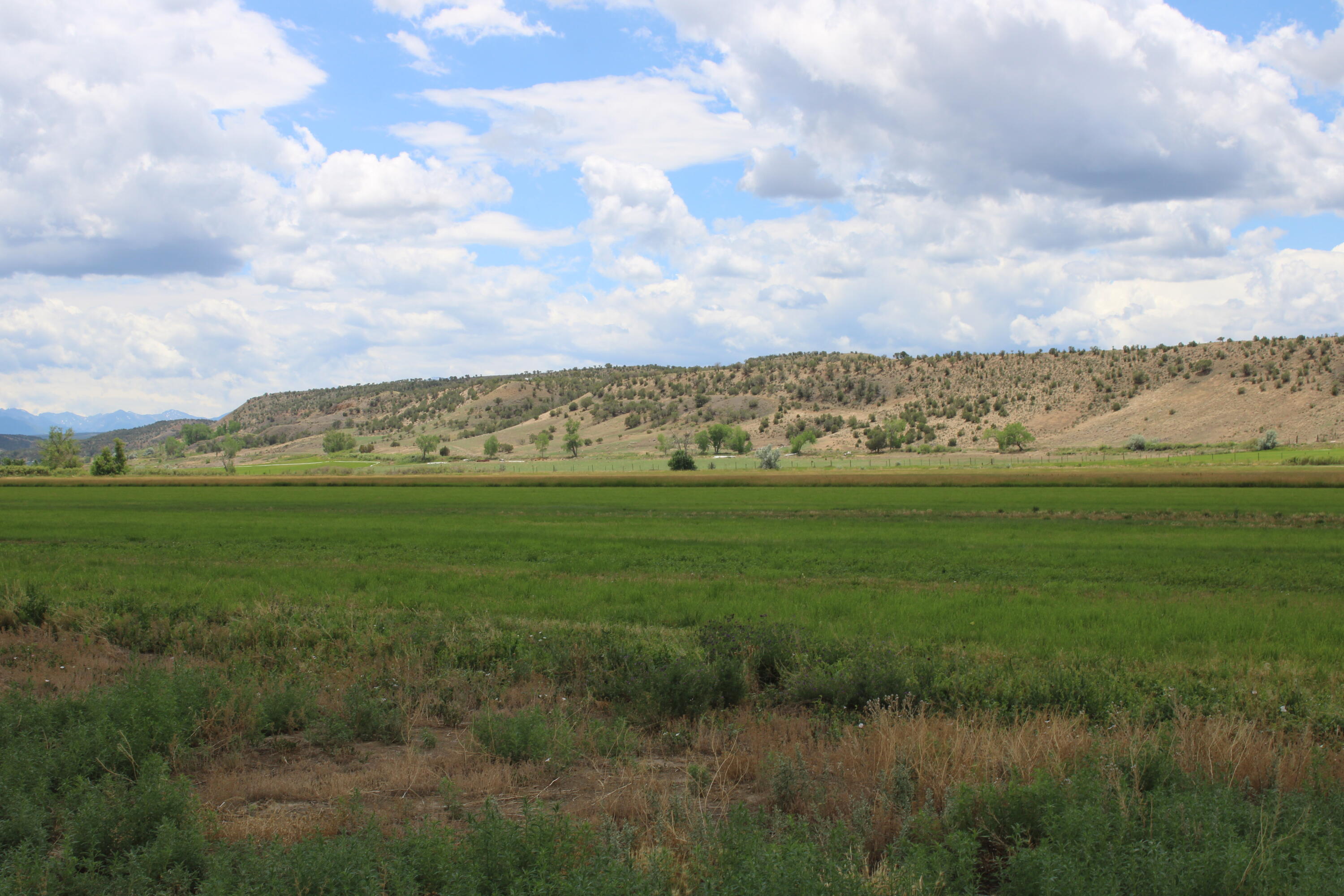 Tbd Solar Road Montrose, CO 81403 - Photo 7 of 9 a view of a city with lots of green space