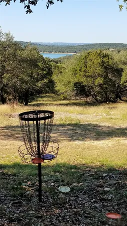 a view of a swimming pool with some potted plants