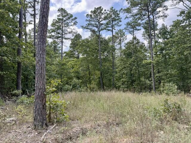 0 Texas Tower Road Licking, MO 65542 - Photo 2 of 8 IMG_7409