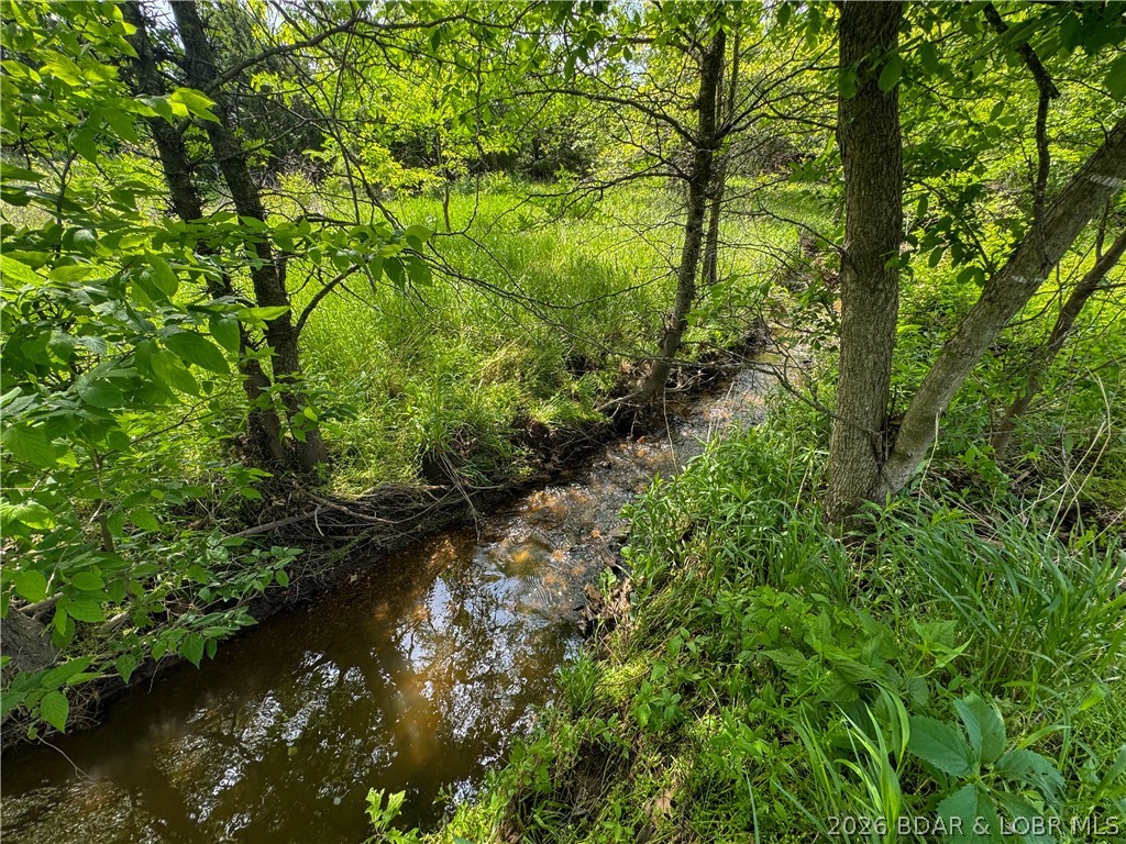 24918 State Rte 52 Cole Camp, MO 65325 - Photo 48 of 58
