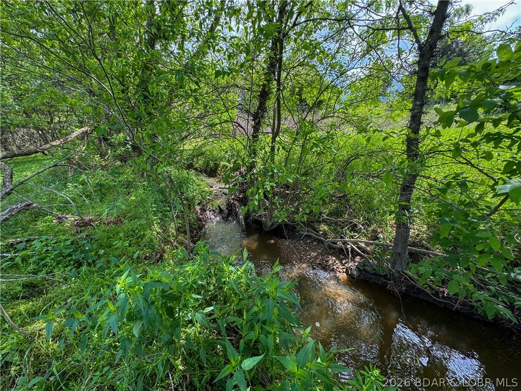24918 State Rte 52 Cole Camp, MO 65325 - Photo 49 of 58