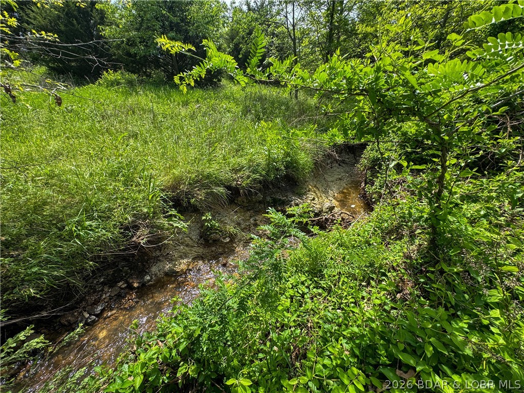 24918 State Rte 52 Cole Camp, MO 65325 - Photo 50 of 58