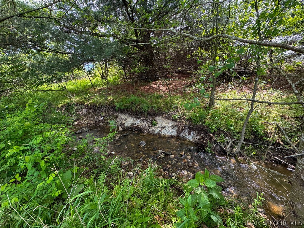 24918 State Rte 52 Cole Camp, MO 65325 - Photo 51 of 58